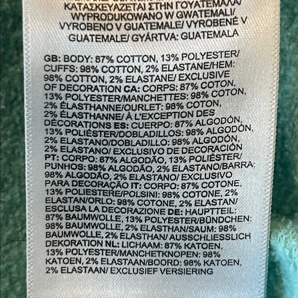 The North Face Men's mint green pull over hoodie size small